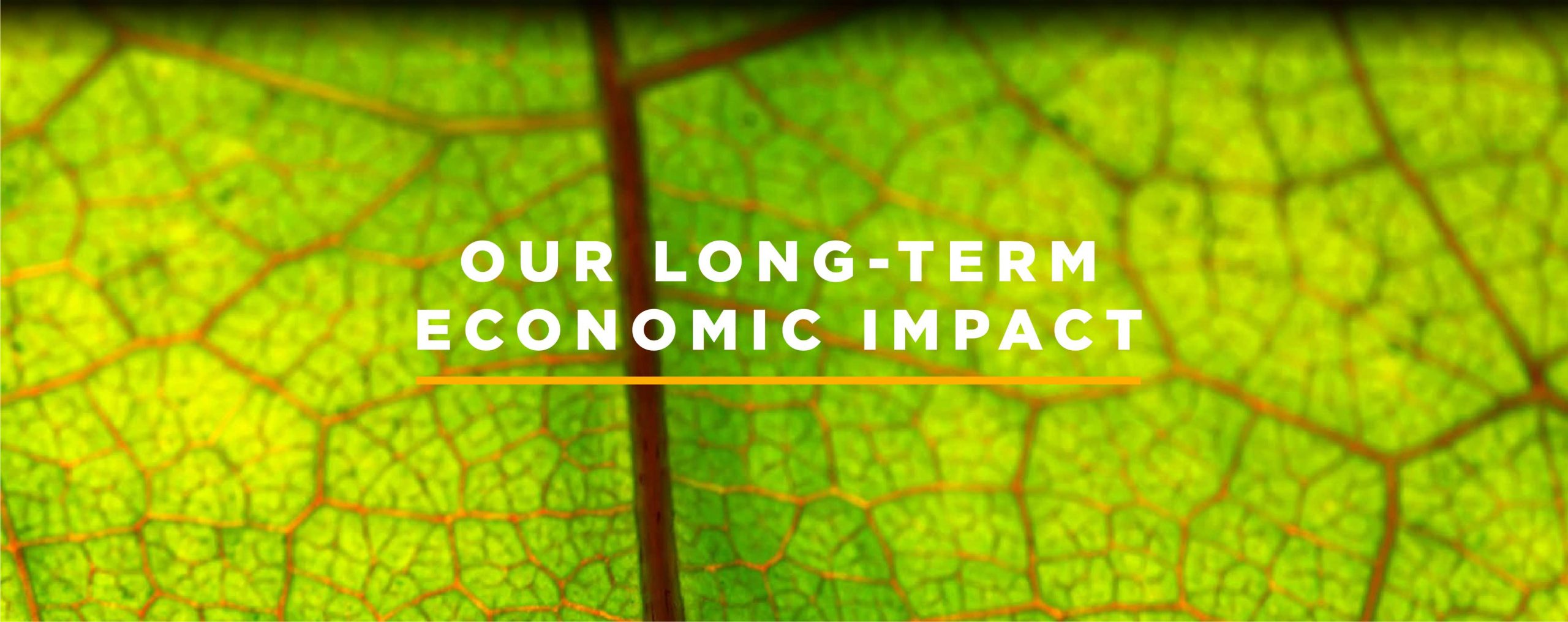 Other Term For Economic Impact